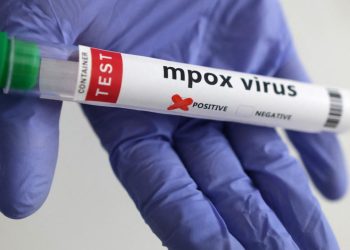 Maymun çiçeği virüsünün yeni bir türü tespit edildi