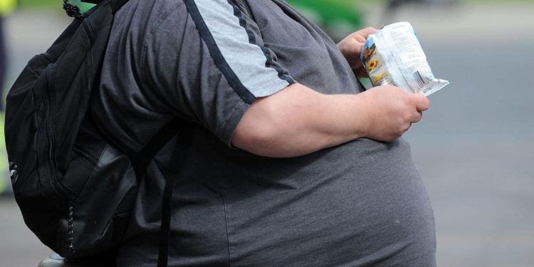 DSÖ, dünya genelinde bir milyardan fazla kişinin obeziteyle yaşadığını bildirdi