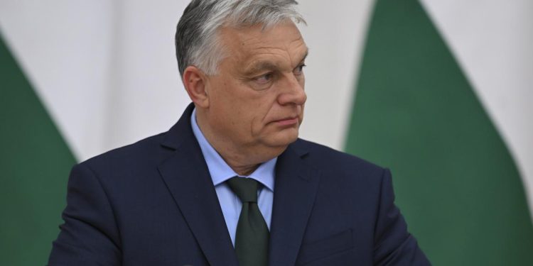Macaristan Başbakanı Orban: Ukrayna'da barışı teşvik için Türkiye ile işbirliği yapıyoruz