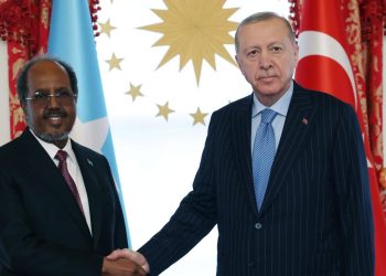 Somali Cumhurbaşkanı: Tehditlerle karşılaşırken Türkiye'nin desteğini hissettik