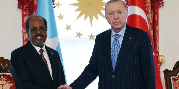 Somali Cumhurbaşkanı: Tehditlerle karşılaşırken Türkiye'nin desteğini hissettik