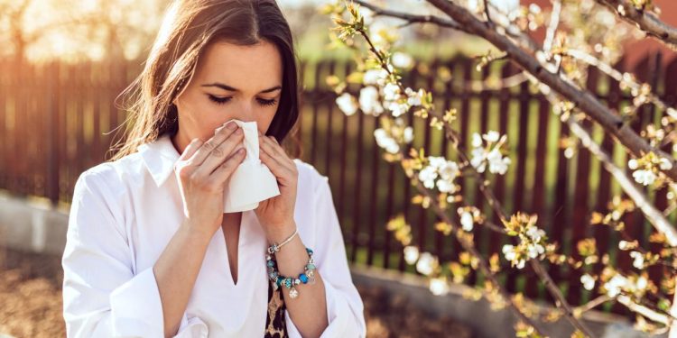 MIT bilim insanları bağışıklık sistemini gençleştirmenin yolunu buldu