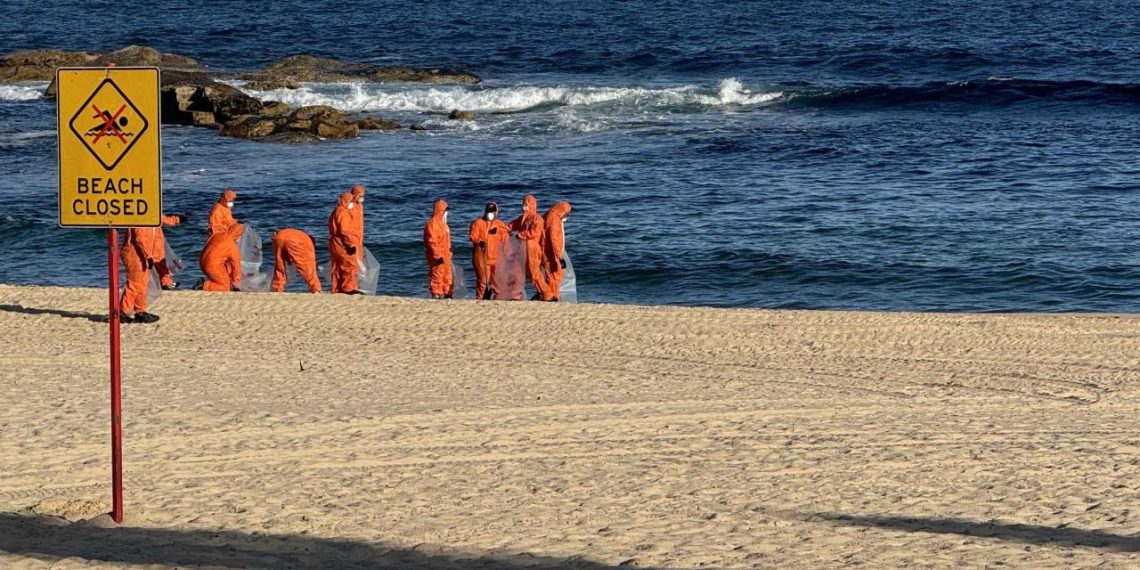 Avustralya'nın Sydney kentinde köpek balıkları 2 çocuğa saldırdı