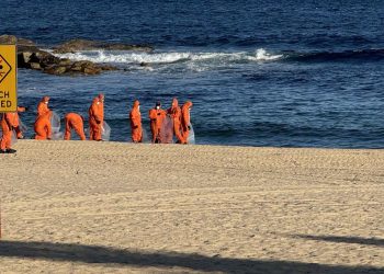 Avustralya'nın Sydney kentinde köpek balıkları 2 çocuğa saldırdı