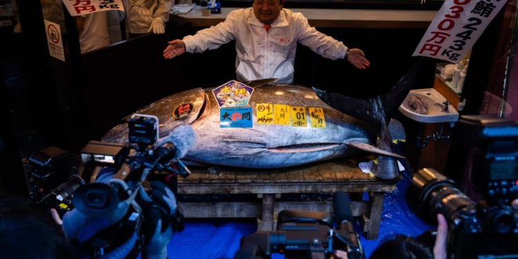 Bu balık açık artırmada 3,2 milyon dolara satıldı