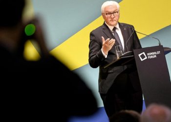Almanya Cumhurbaşkanı Steinmeier: Altyapımız saldırılara karşı daha fazla korunmalı