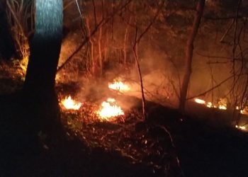 Avustralya'da süren orman yangınlarından etkilenen 1100 kişiden bölgeyi tahliye etmeleri istendi