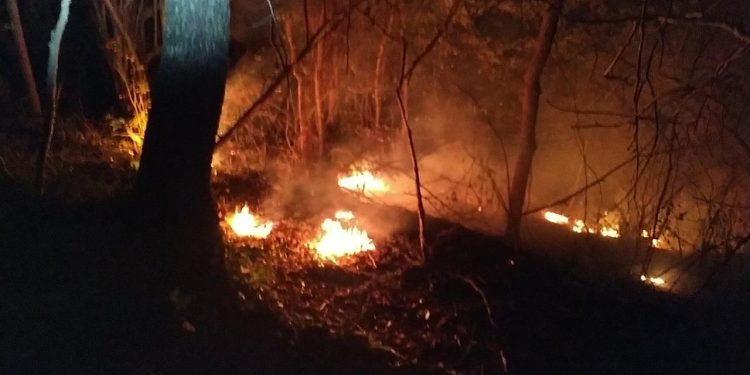 Avustralya'da süren orman yangınlarından etkilenen 1100 kişiden bölgeyi tahliye etmeleri istendi