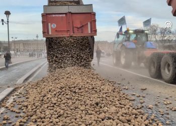 Fransız çiftçiler, Ulusal Meclis'in önüne 30 ton patates döktü