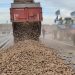 Fransız çiftçiler, Ulusal Meclis'in önüne 30 ton patates döktü