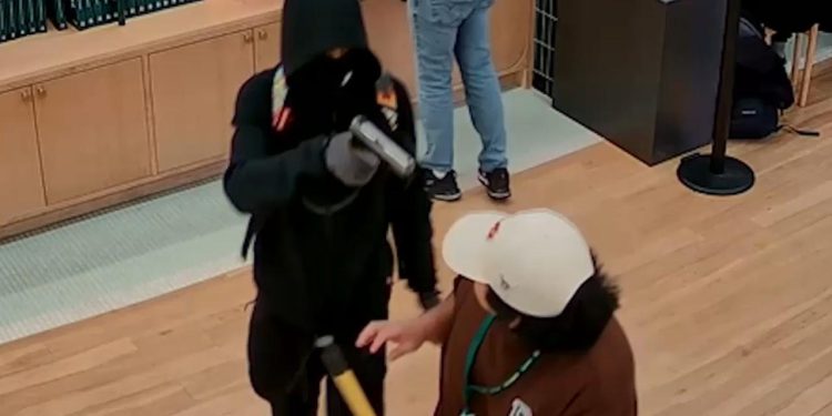 Pokemon mağazasında 100 bin dolarlık hırsızlık