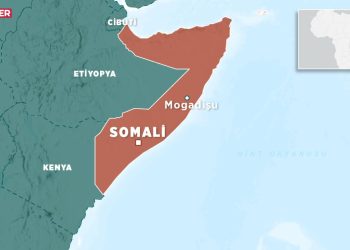 Somali, BAE ile güvenlik ve savunma alanındaki tüm anlaşmaları feshetti