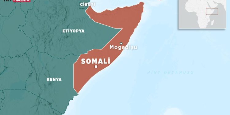 Somali, BAE ile güvenlik ve savunma alanındaki tüm anlaşmaları feshetti