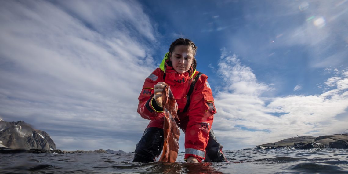 Türk bilim insanları Antarktika’daki araştırmalarıyla sağlık ve tarıma ışık tutuyor