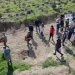 İnşaat mühendislerinden İMO Anı Ormanı’na 400 yeni fidan