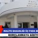 Maliye’den Dolar, Euro Ve Sterlin Cinsi Borçlanma