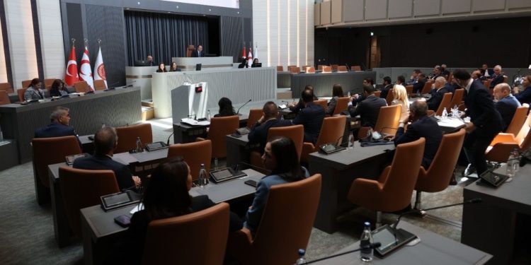 Meclis denetim göreviyle toplanacak