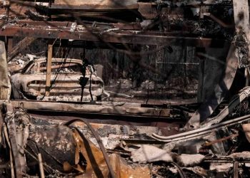 ABD’nin Georgia eyaletinde orman yangınlarında 120’den fazla ev kül oldu