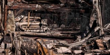 ABD’nin Georgia eyaletinde orman yangınlarında 120’den fazla ev kül oldu