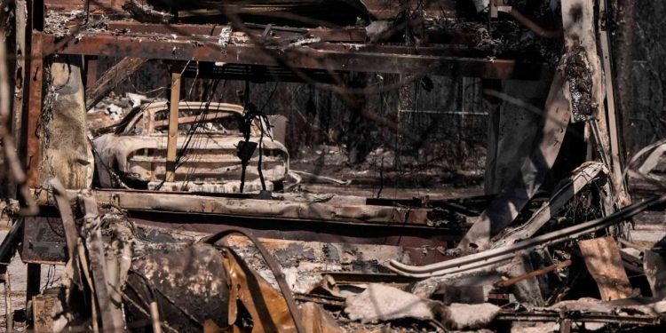 ABD’nin Georgia eyaletinde orman yangınlarında 120’den fazla ev kül oldu