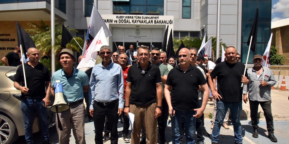 KTEZO ile Kasaplar Birliği’nden eylem: Yerli et sübvanse edilsin