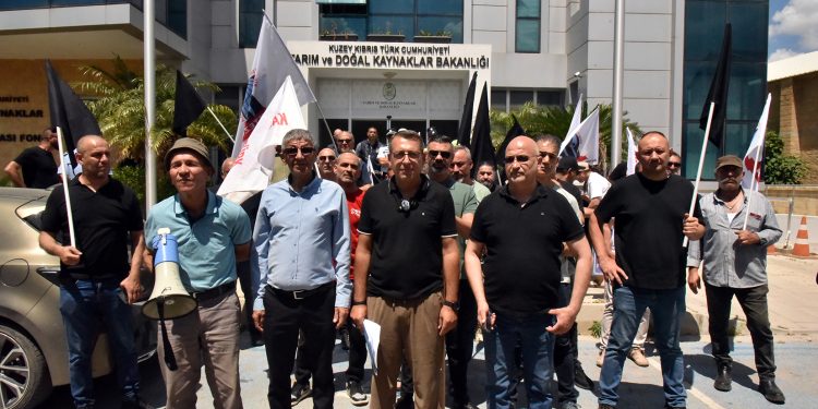 KTEZO ile Kasaplar Birliği’nden eylem: Yerli et sübvanse edilsin