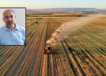 Ziraat Mühendisleri Odası: Tarım arazileri yasayla koruma altına alınmalı