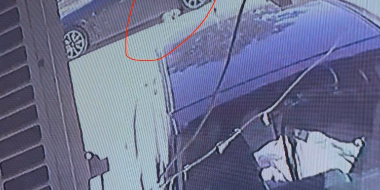 Lefkoşa Marmara Bölgesinde Köpeğe Çarptı Kaçtı
