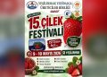 “15. Çilek Festivali” hafta sonu yapılıyor