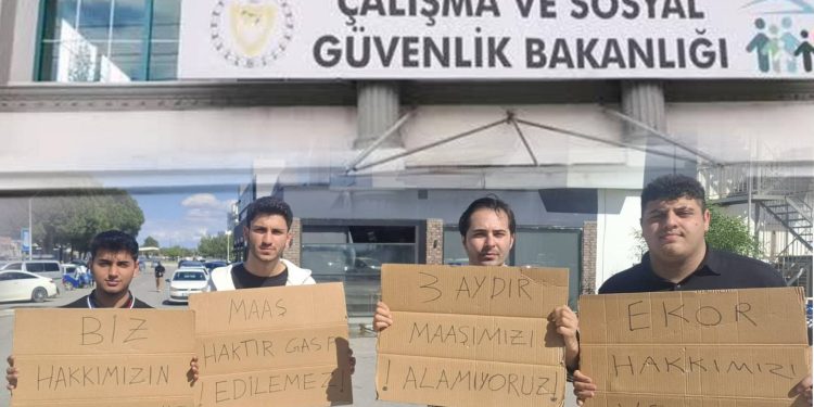 Ekor çalışanları için Çalışma Bakanlığı devrede