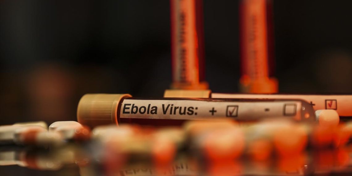 Ebola mücadelesine Batı’dan bütçe darbesi: Salgın küresel riske dönebilir