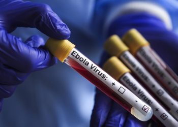 Sınır Tanımayan Doktorlar: Ebola daha önce benzeri görülmemiş bir hızla yayılıyor