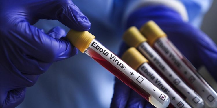 Sınır Tanımayan Doktorlar: Ebola daha önce benzeri görülmemiş bir hızla yayılıyor