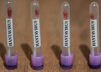 ABC: ABD, hantavirüs vakalarını “3. seviye acil durum” koduyla takibe aldı