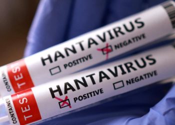 Yolcu gemisi MV Hondius’ta 5 hantavirüs vakası doğrulandı