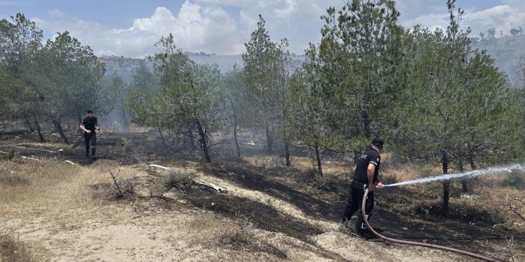 Haspolat – Güngör ana yolunun batısındaki ormanlık alanda yangın.. Soğutma sürüyor