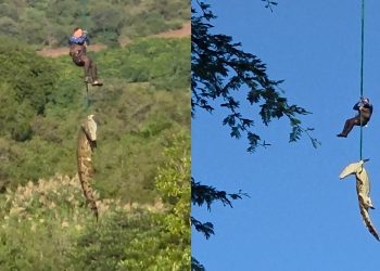 Güney Afrika’da dev timsahın midesinden çıkan terliklerin kayıp vakalarıyla bağı araştırılıyor