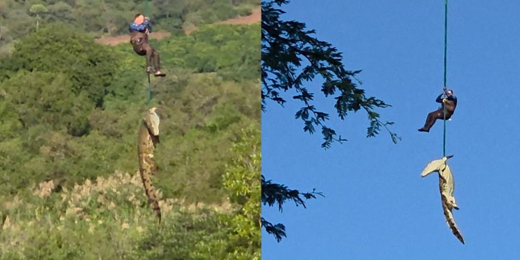 Güney Afrika’da dev timsahın midesinden çıkan terliklerin kayıp vakalarıyla bağı araştırılıyor