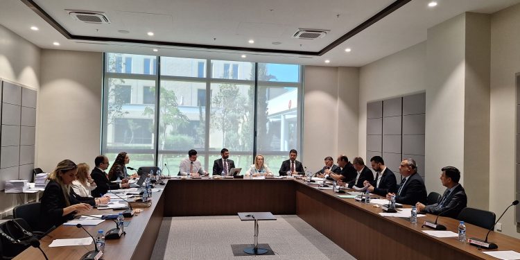İdari, Kamu ve Sağlık İşleri Komitesi gündemindeki yasa önerilerini görüştü