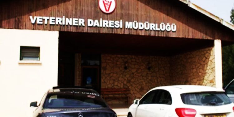 Veteriner Dairesi: Gazimağusa Belediye Mezbahası’nda ciddi eksiklikler tespit edildi