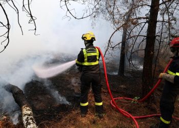 Fransa’nın yangınlarla mücadelesi sürüyor