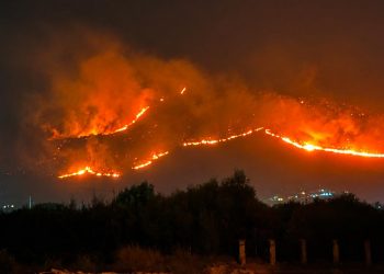 İtalya’nın Sicilya Adası orman yangınlarıyla mücadele ediyor