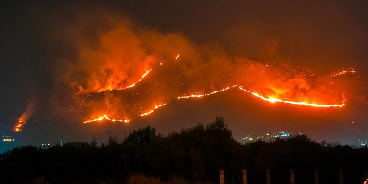 İtalya’nın Sicilya Adası orman yangınlarıyla mücadele ediyor