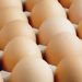ABD’de milyonlarca yumurta salmonella şüphesiyle geri çağırıldı