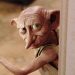 Her şey Dobby için: Harry Potter hayranları 580 milyon dolarlık projenin güzergahını değiştirdi