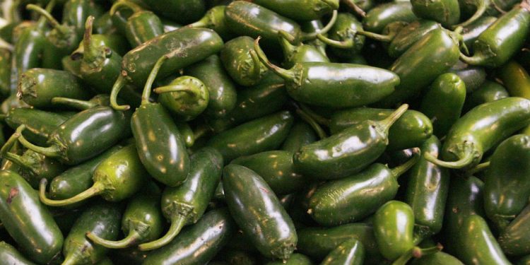 ABD’de jalapeno biberlerinden kaynaklandığı düşünülen salmonella salgını 27 eyalete yayıldı