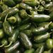 ABD’de jalapeno biberlerinden kaynaklandığı düşünülen salmonella salgını 27 eyalete yayıldı