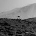Mars’ta görülen esrarengiz cisim uzaylı değil kozmik ışın çıktı
