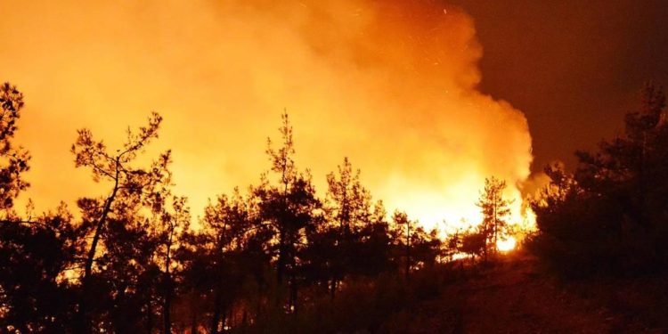 Avrupa’da bu yıl orman yangınları 600 bin hektardan fazla alanı etkiledi