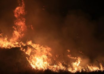 Sicilya Adası’ndaki orman yangınları yerleşim yerlerini tehdit ediyor